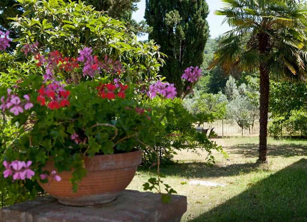 Fattoria La Tavernuzza Grassina Стая снимка
