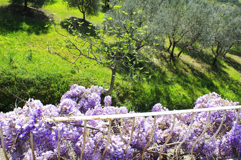 Fattoria La Tavernuzza Grassina Екстериор снимка