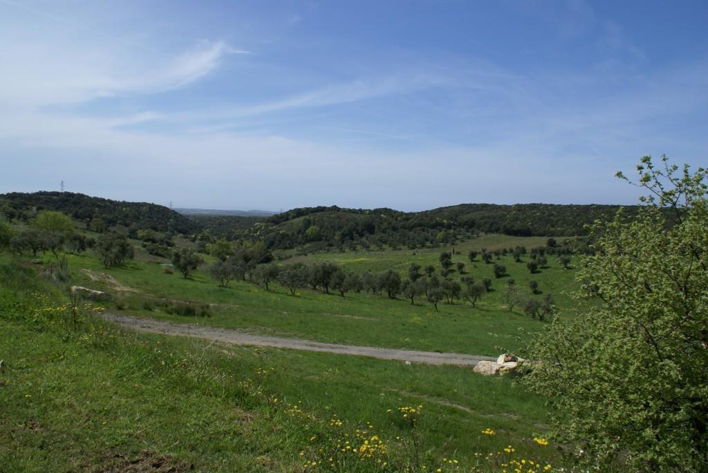 Fattoria La Tavernuzza Grassina Екстериор снимка